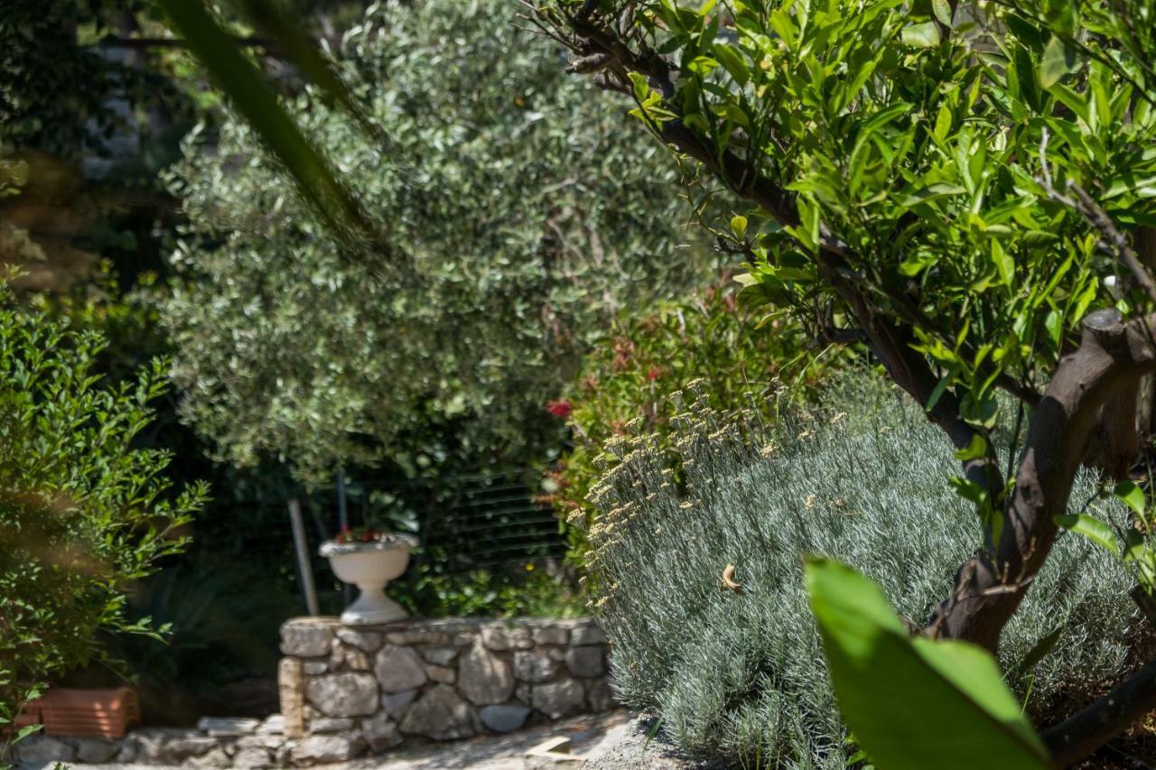 Villa Magnolia Mali Lošinj Exterior foto