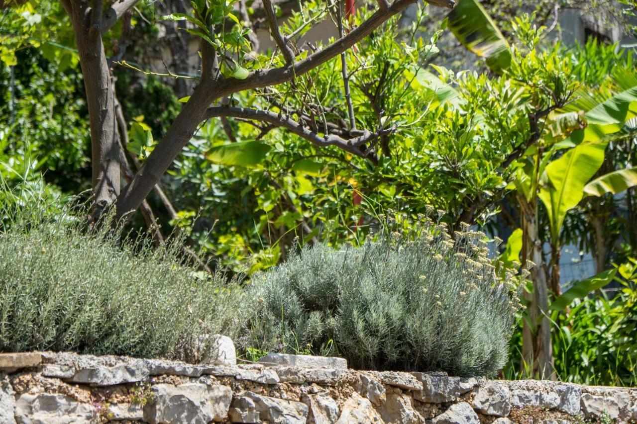 Villa Magnolia Mali Lošinj Exterior foto